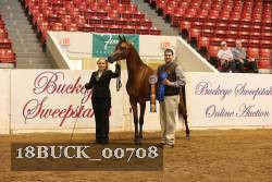18BUCK_00708 proof