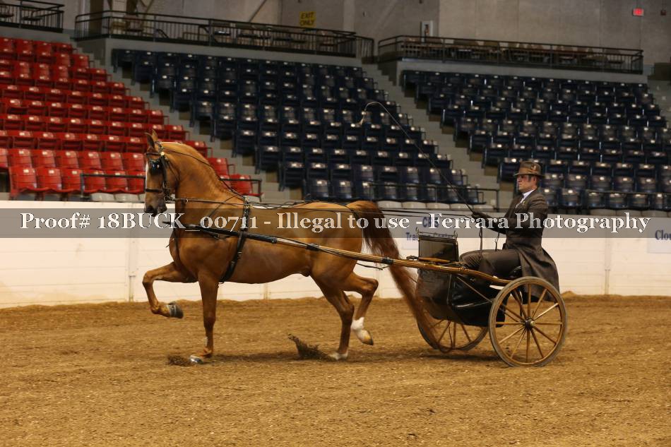 Proof 18BUCK_00711