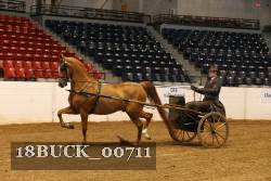 18BUCK_00711 proof