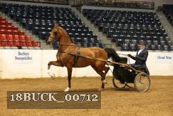 18BUCK_00712 proof