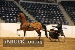 18BUCK_00713 proof
