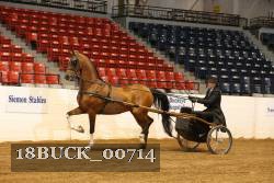 18BUCK_00714 proof