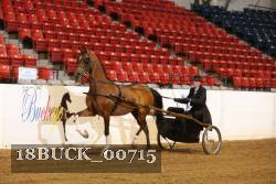 18BUCK_00715 proof