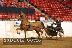 18BUCK_00716 proof