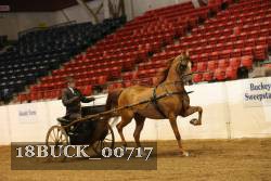 18BUCK_00717 proof
