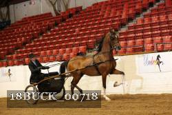 18BUCK_00718 proof
