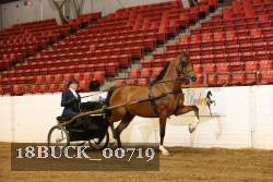18BUCK_00719 proof