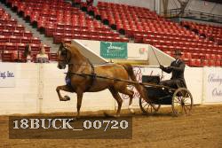 18BUCK_00720 proof