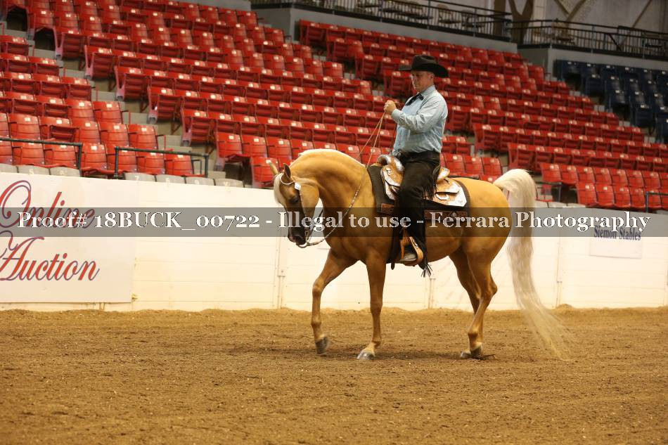 Proof 18BUCK_00722