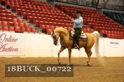 18BUCK_00722 proof