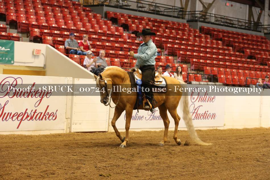 Proof 18BUCK_00724