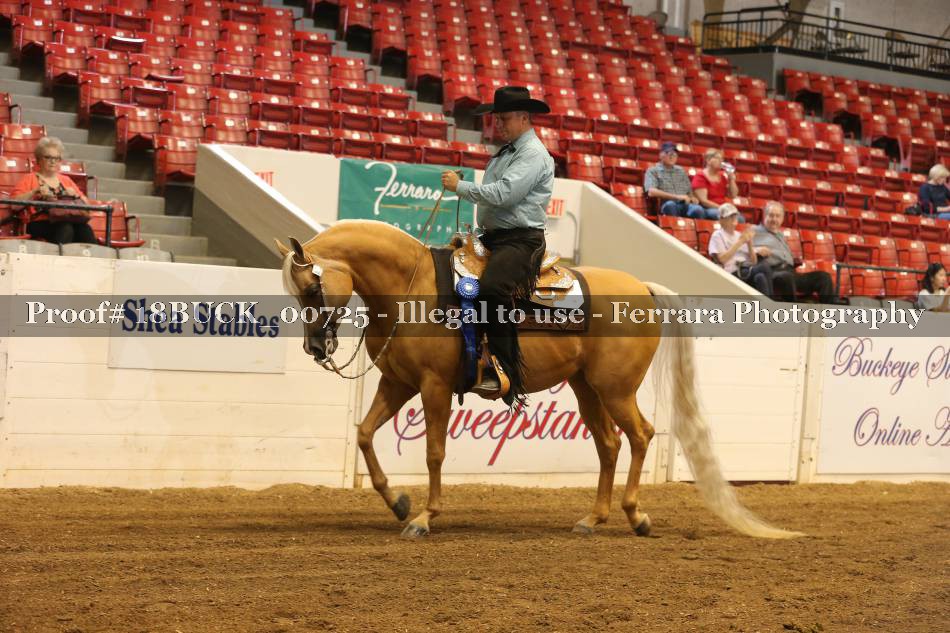Proof 18BUCK_00725