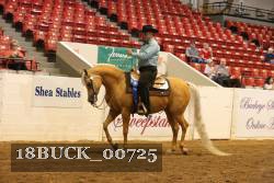18BUCK_00725 proof