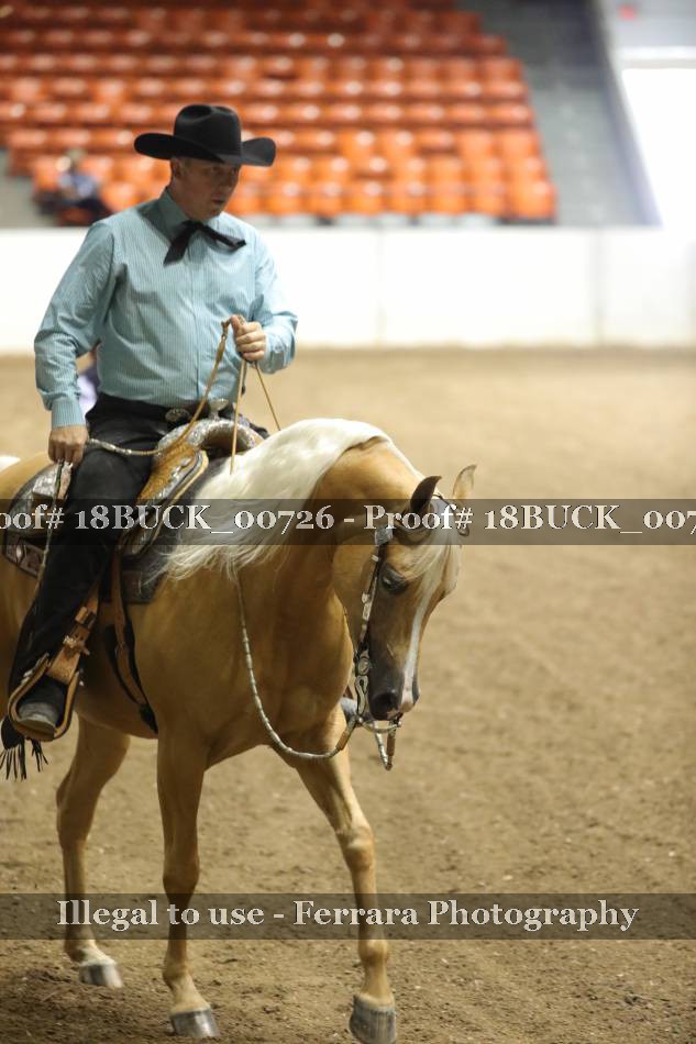 Proof 18BUCK_00726
