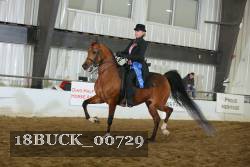 18BUCK_00729 proof
