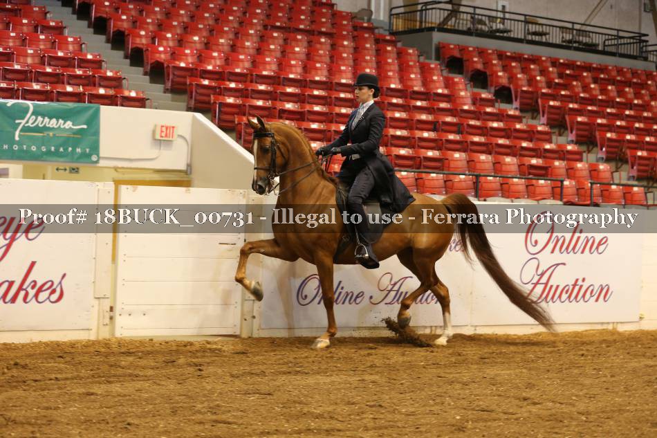 Proof 18BUCK_00731