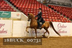 18BUCK_00731 proof