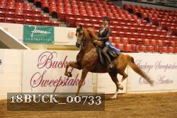 18BUCK_00733 proof