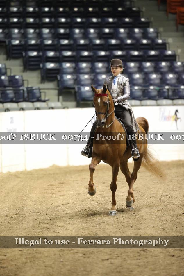 Proof 18BUCK_00734