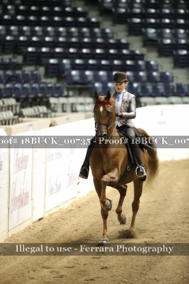 Proof 18BUCK_00735