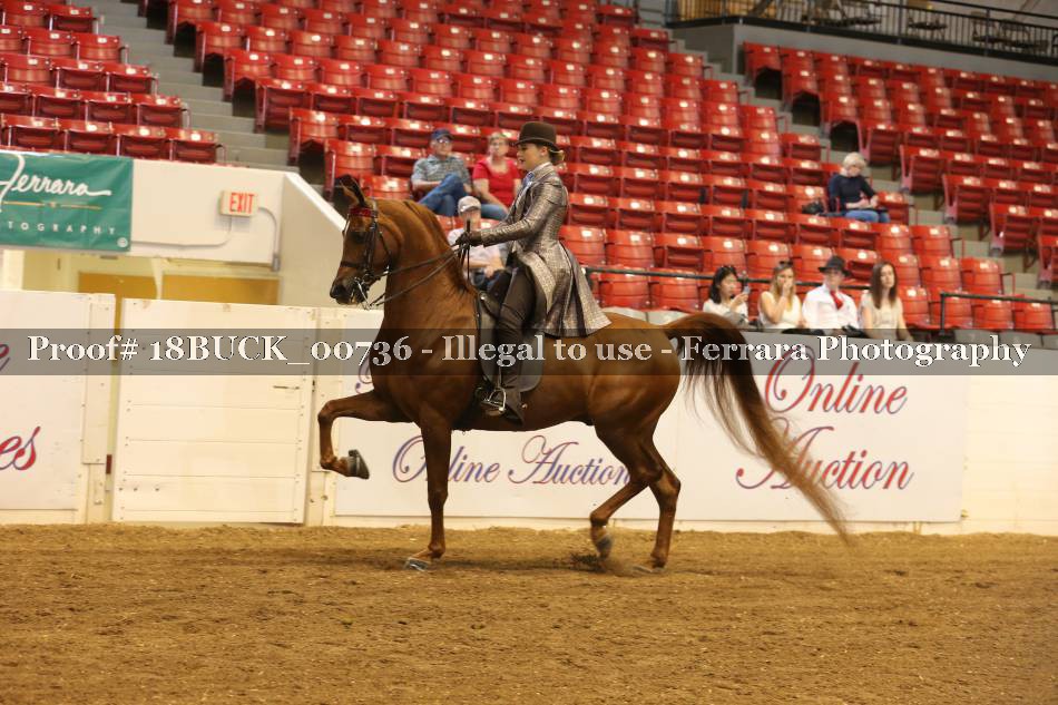 Proof 18BUCK_00736