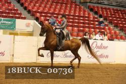 18BUCK_00736 proof