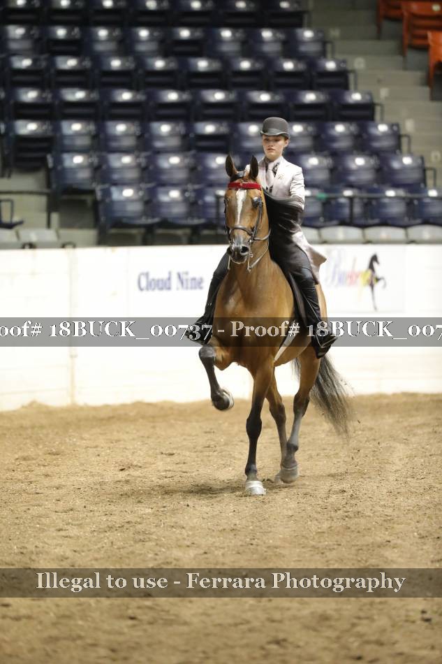 Proof 18BUCK_00737