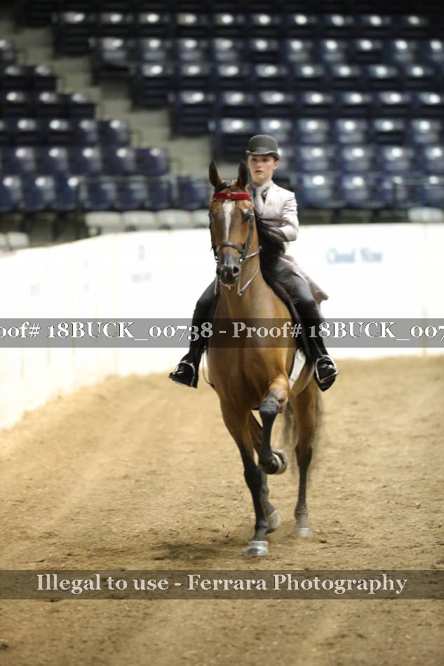 Proof 18BUCK_00738