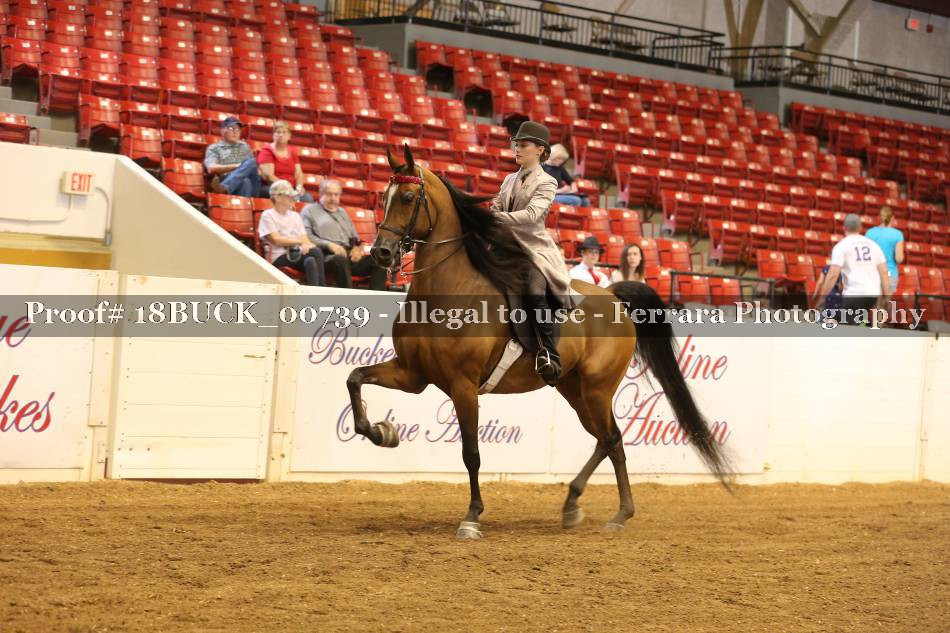 Proof 18BUCK_00739
