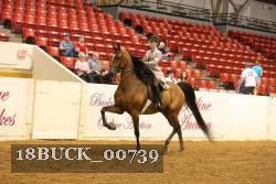 18BUCK_00739 proof