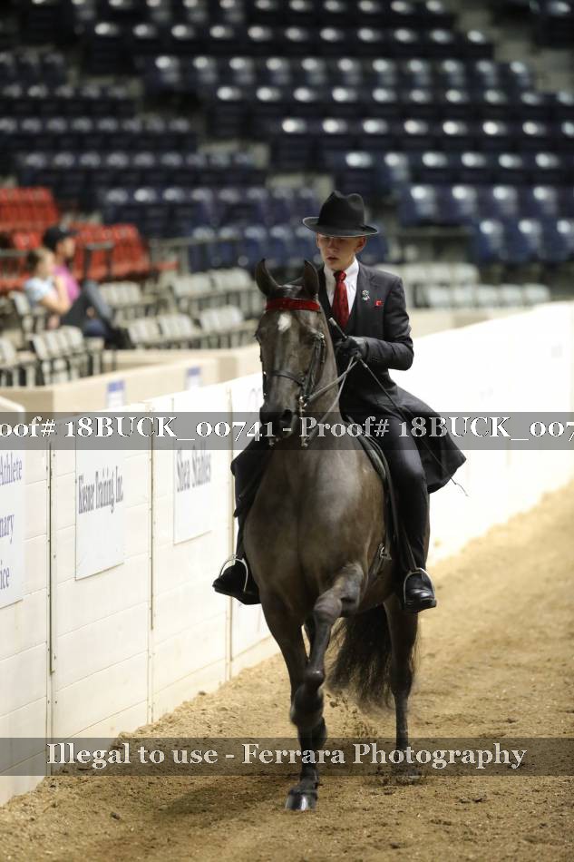 Proof 18BUCK_00741