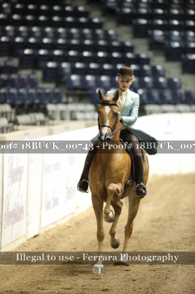 Proof 18BUCK_00743