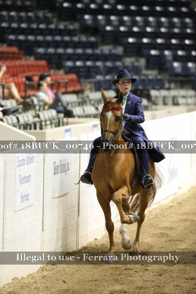 Proof 18BUCK_00746