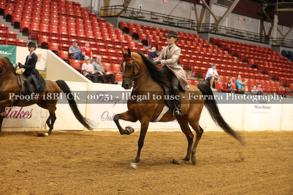 Proof 18BUCK_00751