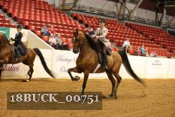 18BUCK_00751 proof