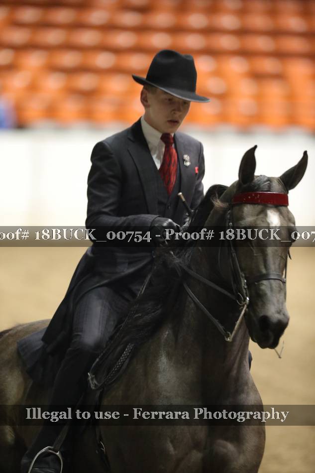 Proof 18BUCK_00754