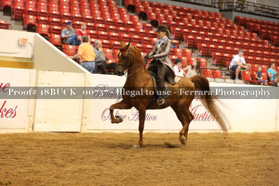 Proof 18BUCK_00757