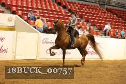 18BUCK_00757 proof