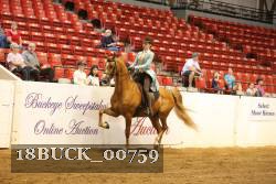 18BUCK_00759 proof