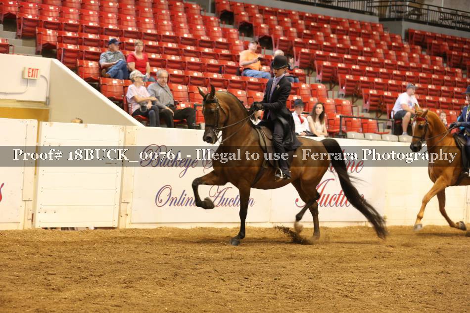 Proof 18BUCK_00761