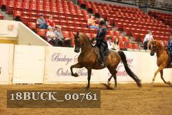 18BUCK_00761 proof