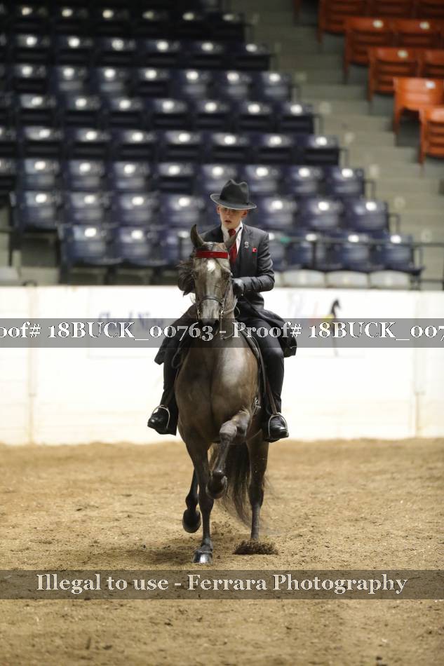 Proof 18BUCK_00763