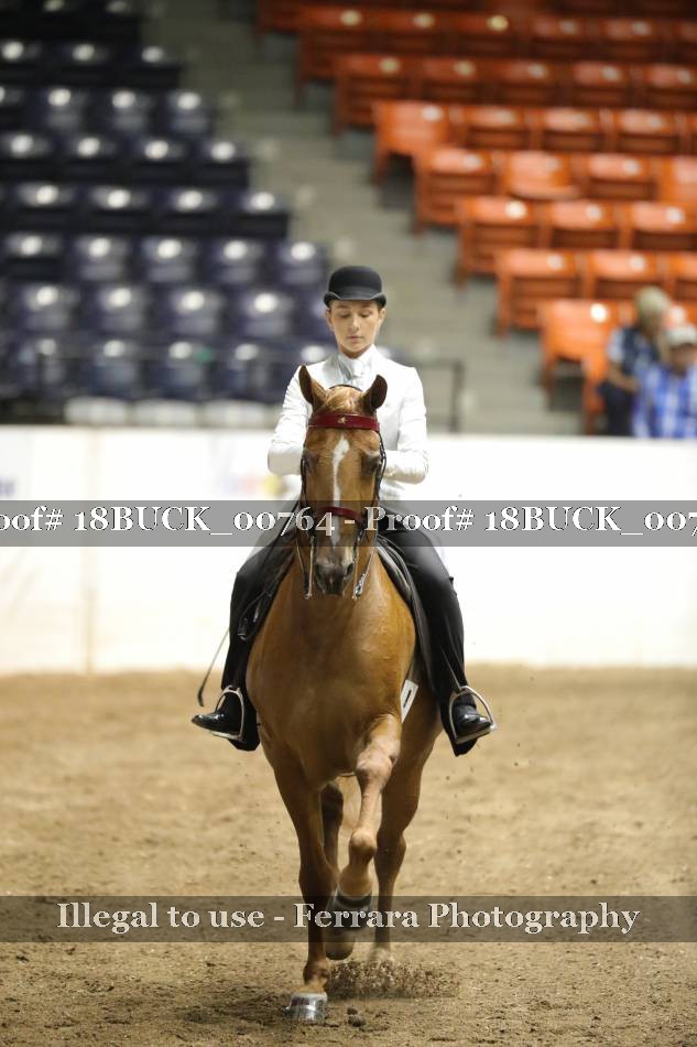 Proof 18BUCK_00764