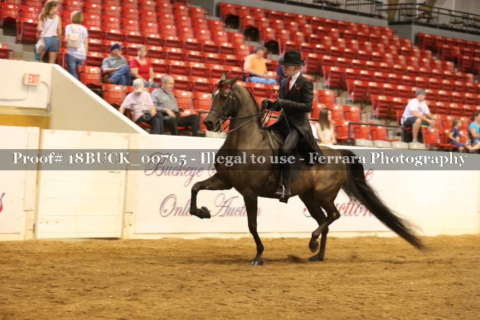 Proof 18BUCK_00765