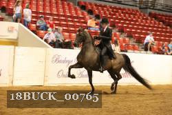 18BUCK_00765 proof