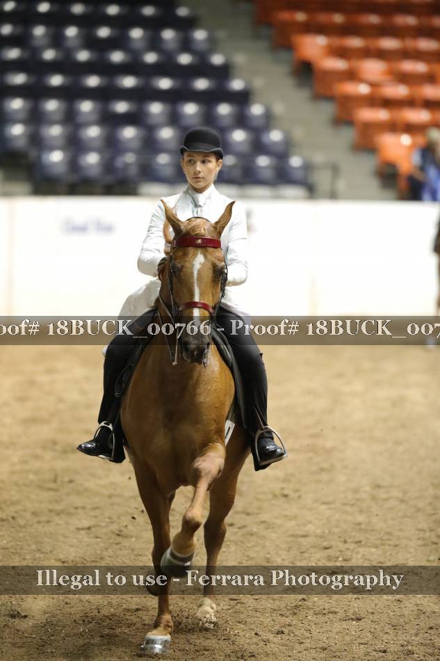 Proof 18BUCK_00766
