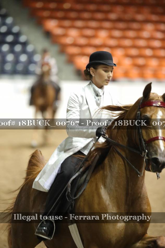 Proof 18BUCK_00767