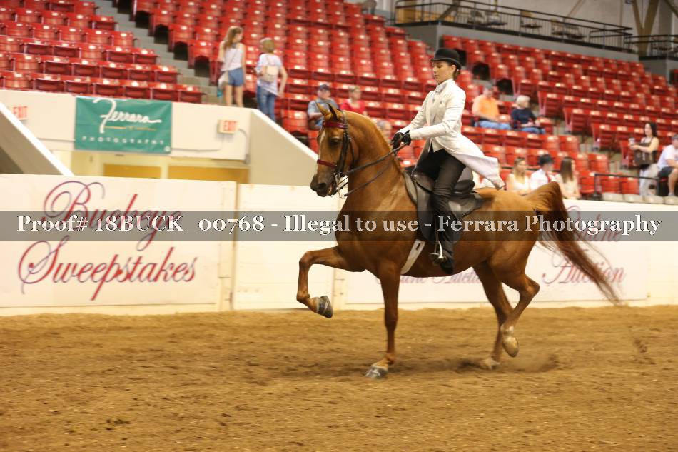 Proof 18BUCK_00768