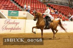 18BUCK_00768 proof