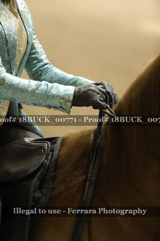 Proof 18BUCK_00771